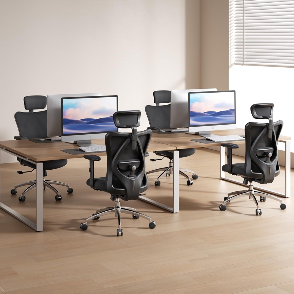 เก้าอี้สำนักงานตาข่ายตามหลักสร - Ergonomic Office Chair บทวิจารณ์และราคา